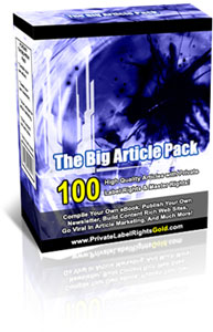 100  Big Article Pack