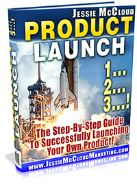 Product launch guide