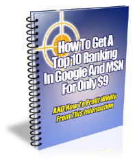 How To Get A Top 10 Ranking In Google And MSN For Only $9