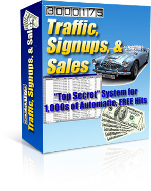 Traffic, Signups, and Sale